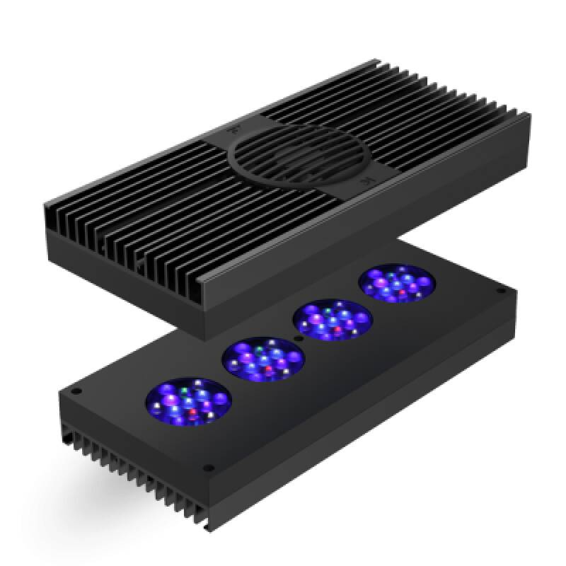 AI Hydra 52 HD - Image 2