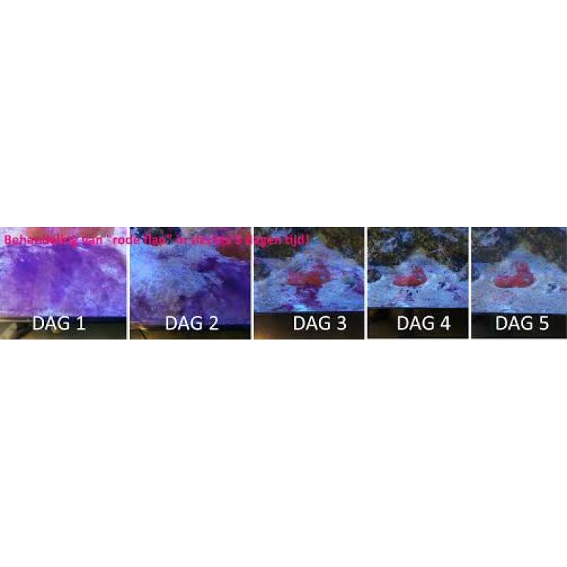 download Aqualife Pro Bio 1000 ml - Image 2