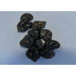 Turbo Brunneus - gewone turboslak