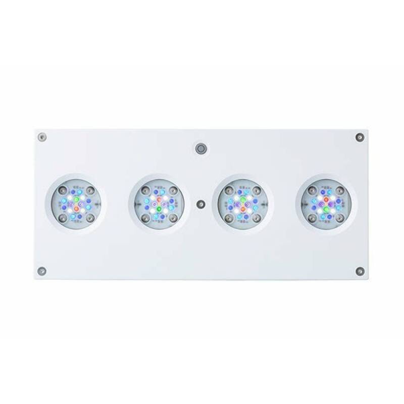 AI Hydra 64 HD zwart of wit - Image 2