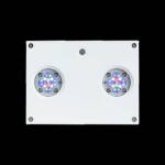 AI Hydra 32 HD zwart of wit - Image 2