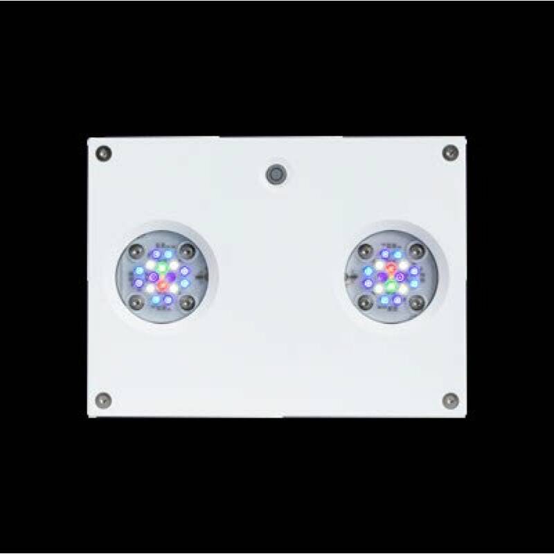 hydra hd 32 wit AI Hydra 32 HD zwart of wit - Image 2