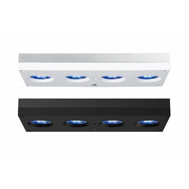 AI Hydra 64 HD zwart of wit - Image 1