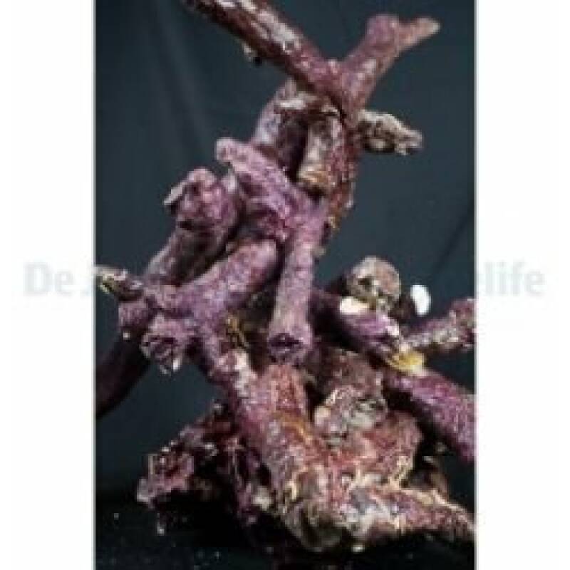 Real Reef Rock Branches - Image 1