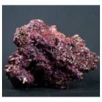 Real Reef Rock Medium and Large chuncks