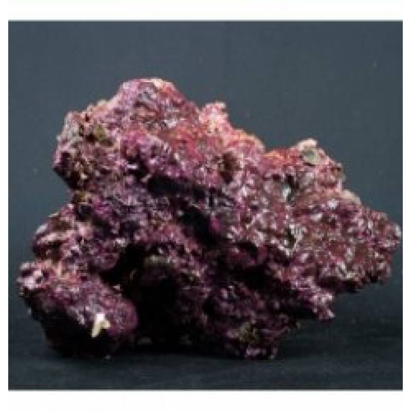 Real Reef Rock Medium and Large chuncks - Image 1
