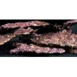 Real Reef Rock Plates