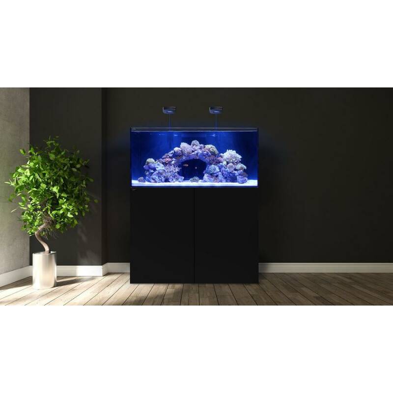 Waterbox MARINE X 60.2 Dutch Reef