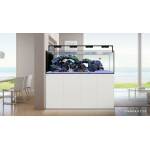 Waterbox Peninsula 6025 - Image 2