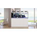 Waterbox Peninsula 7225