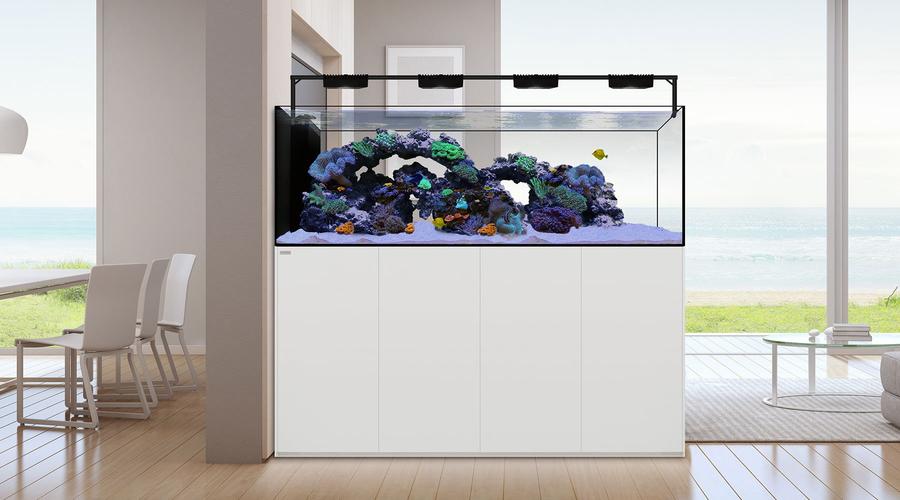 Water box aquarium discount