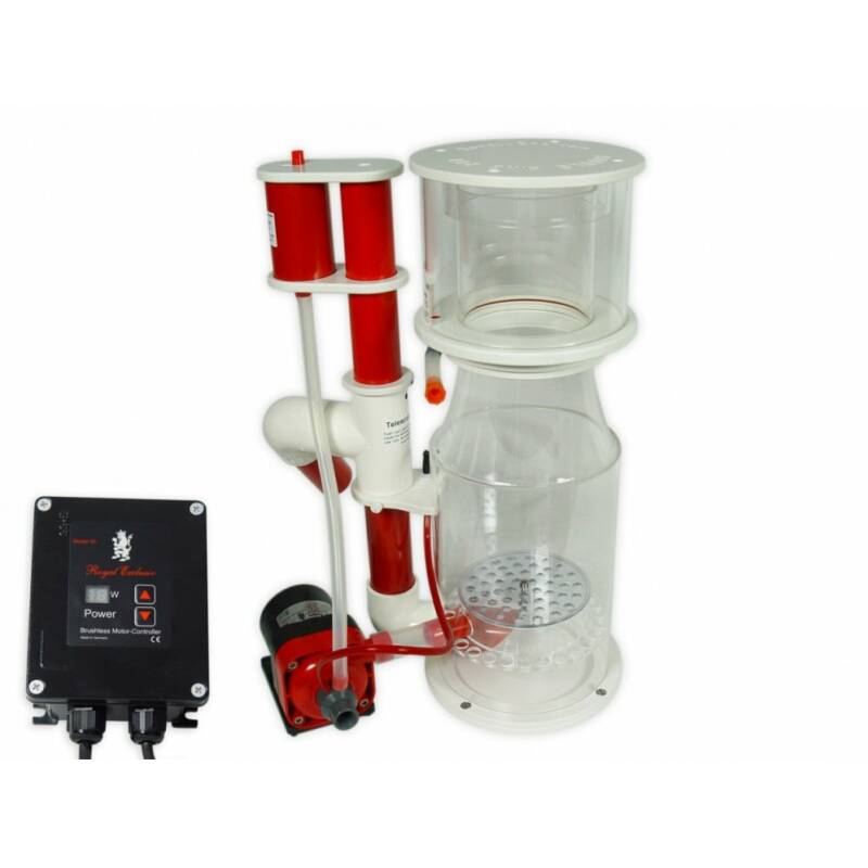 Bubble King Deluxe 200 intern +RDX DC24V - Image 1