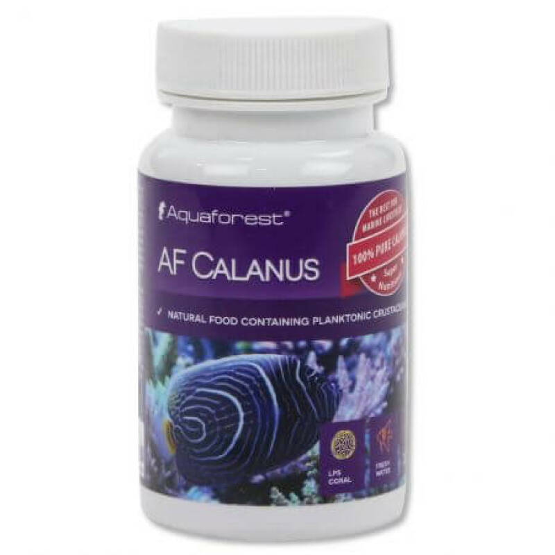 Aquaforest Calanus (Calanidae) - Image 1