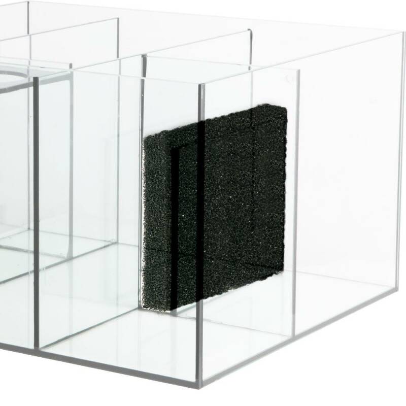 pf-bdb06d30-9fa5-49fb-9e8d-3136a31b802c--platinumsumpsponge Waterbox Reef 100.3 - Image 10