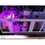 AQUAJA DIAMOND LINE 400 - Image 7