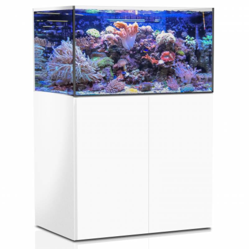 Aqua Medic Armatus 375 XD white - Image 1