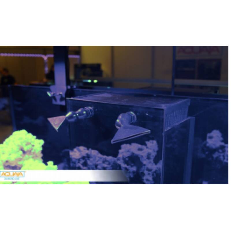 Screenshot2 AQUAJA DIAMOND LINE 535 - Image 5