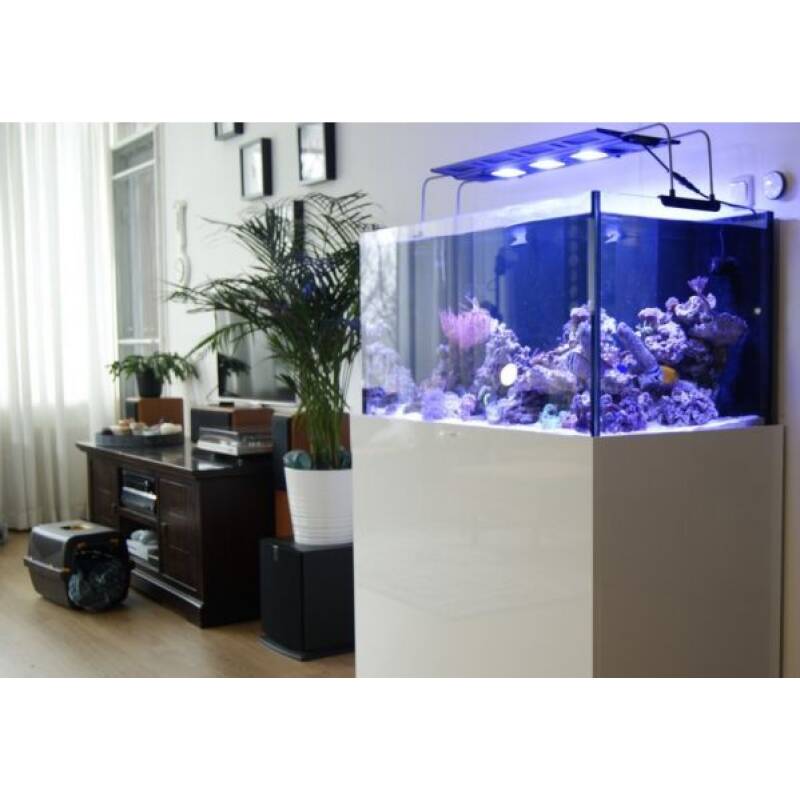AQUAJA DIAMOND LINE XL - Image 1