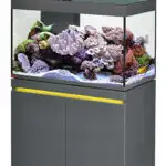 EHEIM Incpiria Rif 330