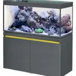 EHEIM Incpiria Rif 430