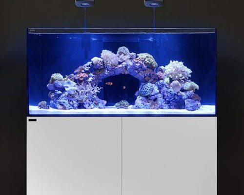 Weigering grip pariteit Aquarium op maat laten maken - Dutch Reef