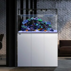 Mooie aquarium Mooie aquarium
