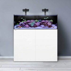 1500 Liter aquarium 1500 Liter aquarium